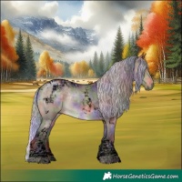 Horse Color:Void Nacre Silver Brown Dun Tobiano 