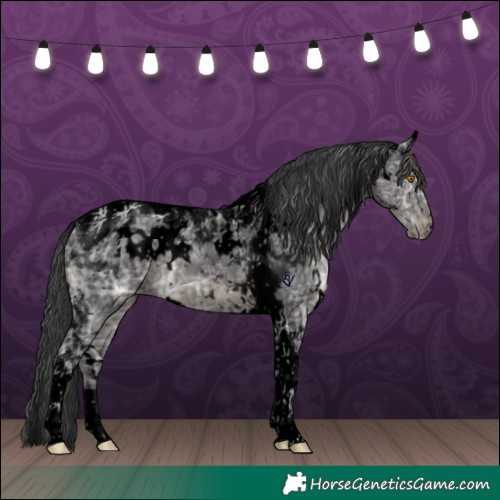 Horse Color:Void White Spotted Black Ice Tobiano Appaloosa 