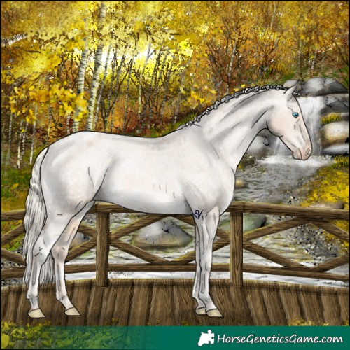 Horse Color:White Spotted Chocolate Palomino Ice Pearl Appaloosa 