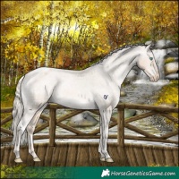 Horse Color:White Spotted Chocolate Palomino Ice Pearl Varnish 