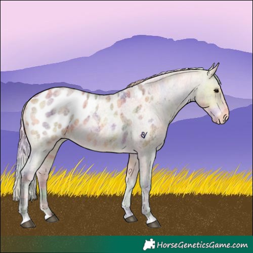 Horse Color:Nacre Plaid Silver Buckskin Roan Blanket