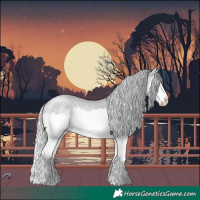 Horse Color:Silver Brown Chinchilla Dun Splash 