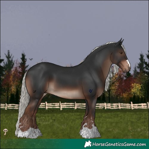 Horse Color:Liver Chestnut Mushroom 