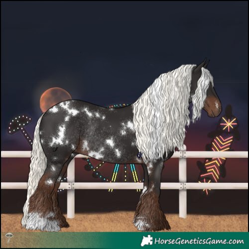 Horse Color:White Spotted Liver Chestnut Mushroom Rabicano 