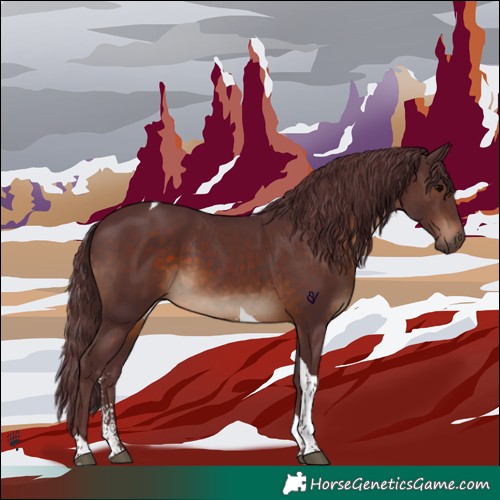 Horse Color:Chocolate Brown Sabino Tobiano Rabicano