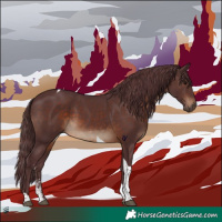 Horse Color:Chocolate Brown Sabino Tobiano Rabicano 