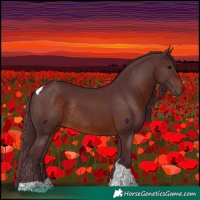 Horse Color:Chocolate Brown Tobiano Rabicano 