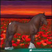 Horse Color:Chocolate Brown Tobiano Rabicano 