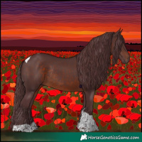 Horse Color:Chocolate Brown Tobiano Rabicano 