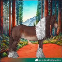 Horse Color:Chocolate Brown Sabino Tobiano Rabicano
