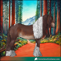 Horse Color:Chocolate Brown Sabino Tobiano Rabicano 