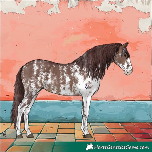 Horse Color:Chocolate Brown Dun Sabino 