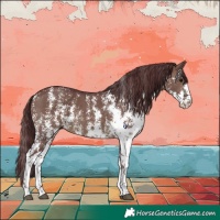 Horse Color:Chocolate Brown Dun Sabino 