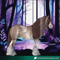 Horse Color:Chocolate Brown Dun Tobiano Rabicano  and Chocolate Brown Dun Sabino Rabicano 