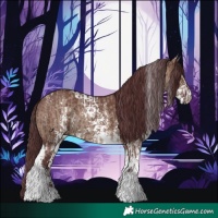 Horse Color:Chocolate Brown Dun Tobiano Rabicano  and Chocolate Brown Dun Sabino Rabicano 