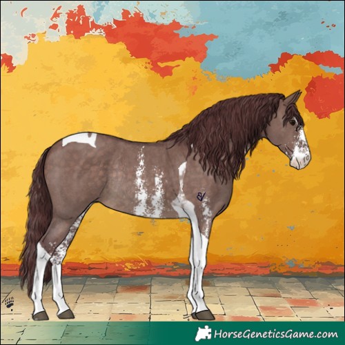 Horse Color:Chocolate Brown Dun Sabino Tobiano Rabicano 