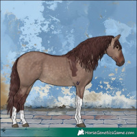 Horse Color:Chocolate Brown Dun Tobiano 