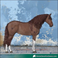 Horse Color:Chocolate Brown Dun Tobiano 
