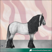 Horse Color:Brown Chinchilla Roan Dun 