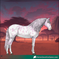 Horse Color:Platinum Watercolor White Spotted Chocolate Silver Brown Roan Onyx Appaloosa 