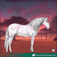 Horse Color:Platinum Watercolor White Spotted Chocolate Silver Brown Roan Onyx Appaloosa