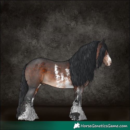 Horse Color:Brown Sabino 