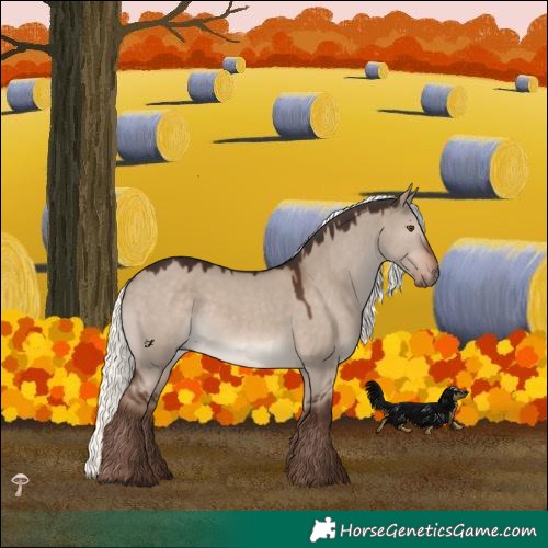 Horse Color:Liver Red Dun Mushroom Rabicano 