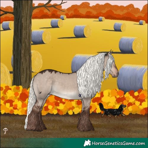 Horse Color:Liver Red Dun Mushroom Rabicano 