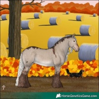 Horse Color:Liver Red Dun Mushroom Rabicano 