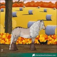 Horse Color:Liver Red Dun Mushroom Rabicano 