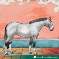 Horse Color:Gray Brown Roan Splash Rabicano 
