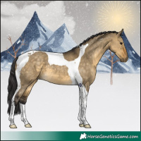 Horse Color:Buckskin Dun Tobiano 