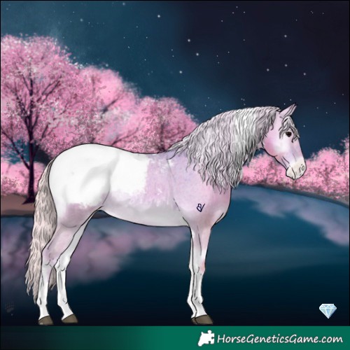 Horse Color:Platinum Watercolor White Spotted Silver Blue Onyx Tobiano Appaloosa Rabicano 