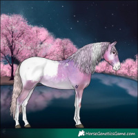 Horse Color:Platinum Watercolor White Spotted Silver Blue Onyx Tobiano Appaloosa Rabicano 