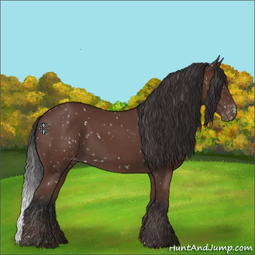 Horse Color:Bay Snowflake Varnish