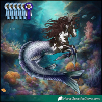 Horse Color:White Spotted Midnight Chocolate Brown Dun