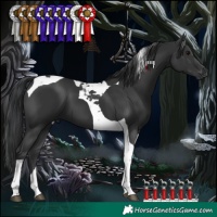 Horse Color:Black Tobiano