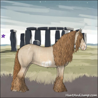 Horse Color:Red Dun Varnish  and Red Dun Frame Varnish 