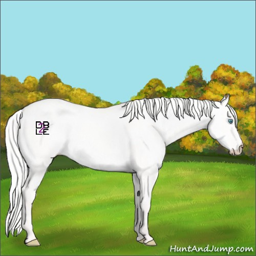 Horse Color:Silver Perlino Dun 