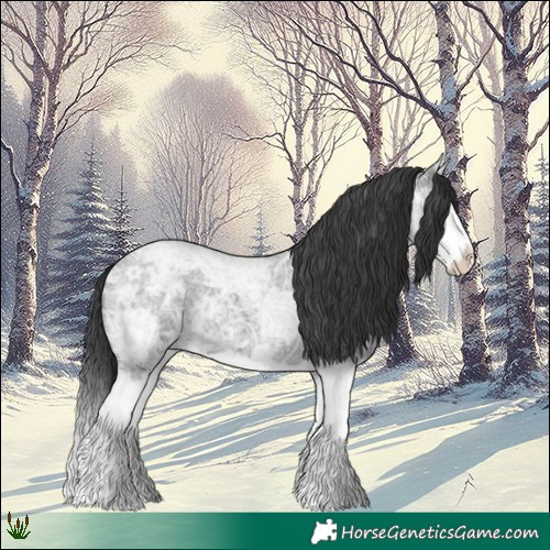 Horse Color:Blue Ice Roan Splash 