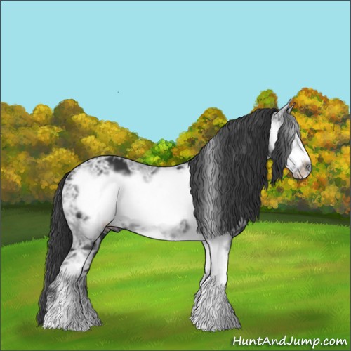 Horse Color:Black Ice Sabino Frame 