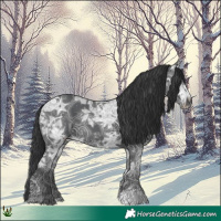 Horse Color:Black Ice 