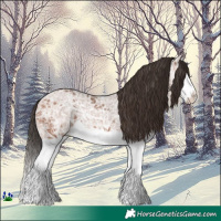 Horse Color:Bay Ice Splash 