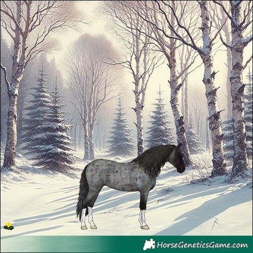 Horse Color:Midnight Brown Ice Roan 