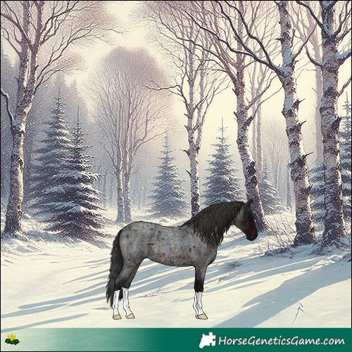Horse Color:Midnight Brown Ice Roan 