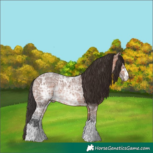 Horse Color:Bay Ice Rabicano 