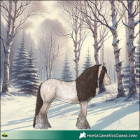 Horse Color:Amber Champagne Ice Roan 
