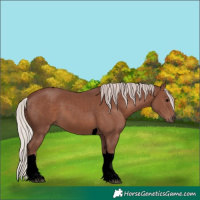 Horse Color:Void Chocolate Silver Black Tobiano 