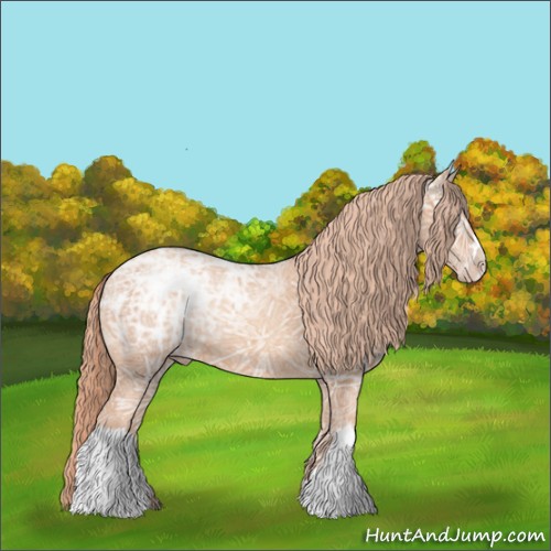 Horse Color:Gold Champagne Ice 