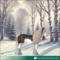 Horse Color:Midnight Gold Champagne Ice Splash Rabicano 